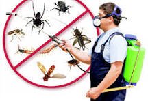 فرع مصر الجديدة