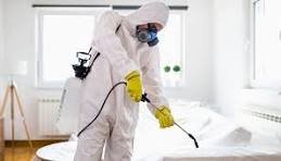 ابادة النمل