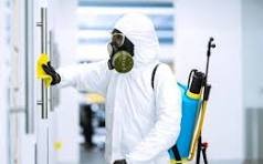 شركة مكافحة الحشرات